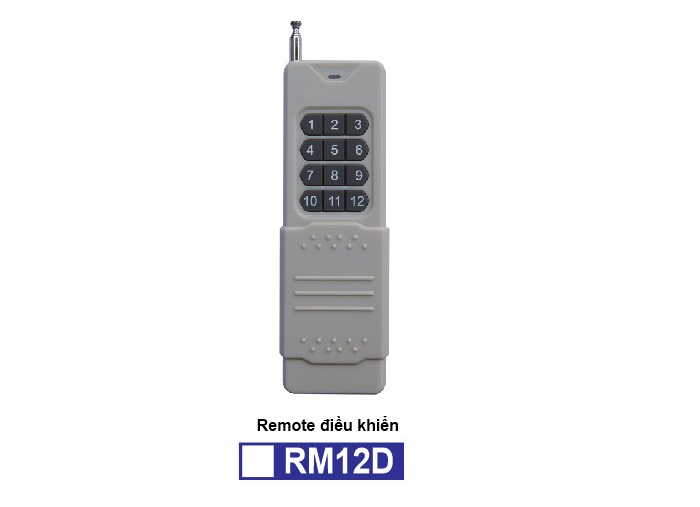 Remote RM12D